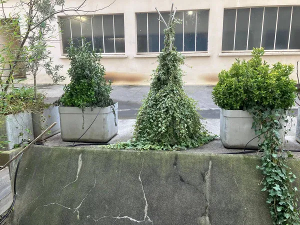 Loue appartement Meublé 5 pièces Paris 5ème 