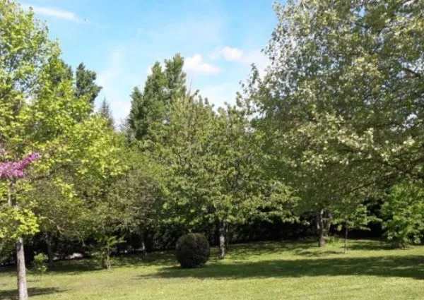 Terrain 654 m² 