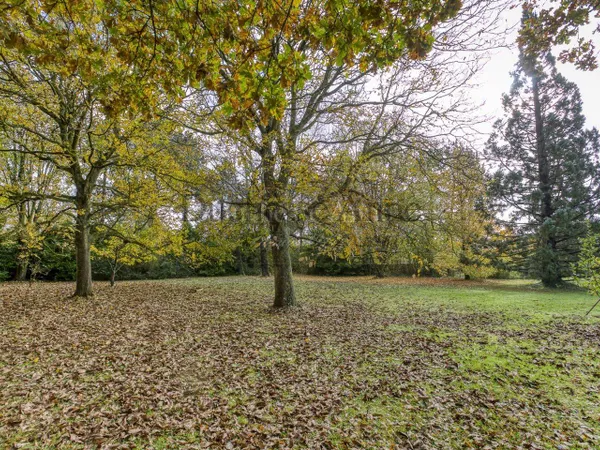 Terrain 2441 m² 