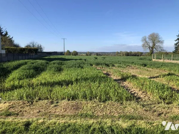 Terrain 1000 m² 