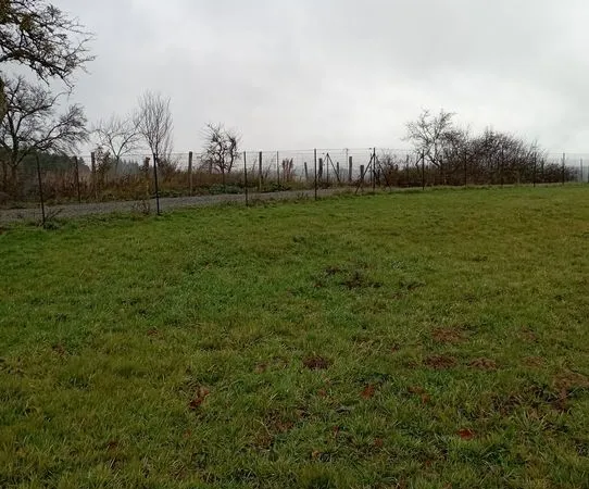 Terrain 1 980 m² Busset 