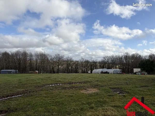 Terrain 5519 m² 