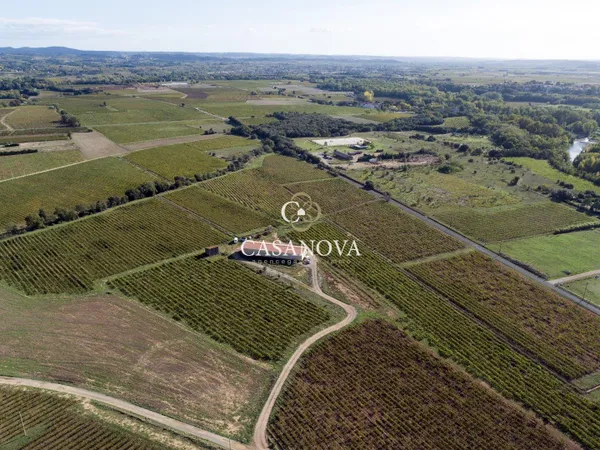 Exploitation viticole avec cave de vinification 