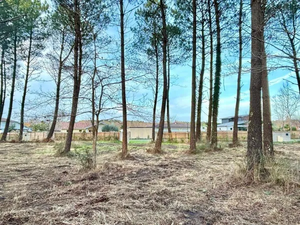 Terrain 1000 m² 