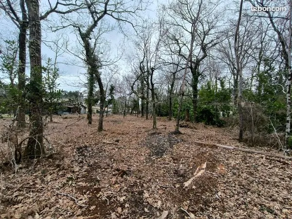 Terrain 696 m² Le Porge 