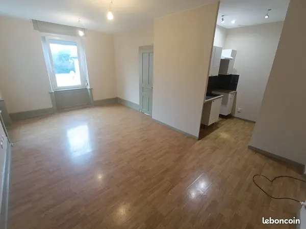 Appartement T2 centre ville CLIMATISATION + cave + extérieur 