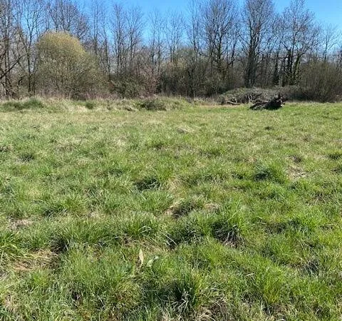 Propriété 118 m² 