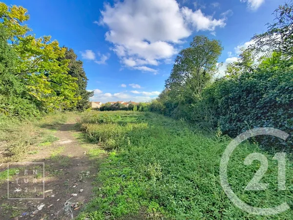 Terrain 981 m² 