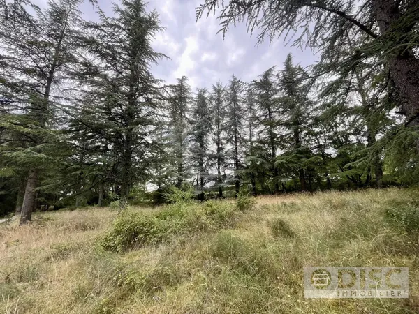 Terrain constructible de 1 100 m² - À 10 minutes du centre-ville de Cahors 