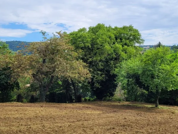 Terrain 3180 m² 