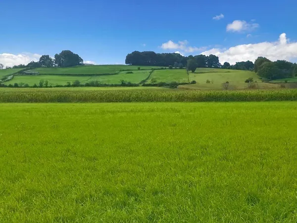 Propriété 