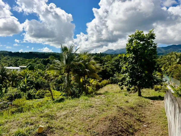 Goyave : terrain à vendre avec Longfort Immobilier 
