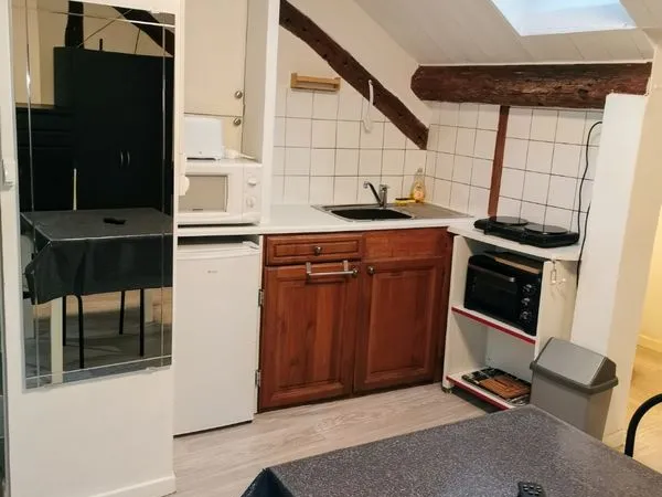Studio rénové Dijon centre 