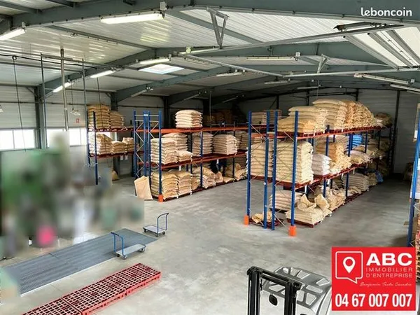 Local d'activité 2 pièces 870 m² 