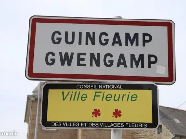 Bar, brasserie, fdj, pmu 318 m² Guingamp 