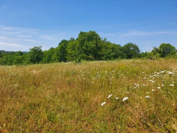 Terrain 320 m² 