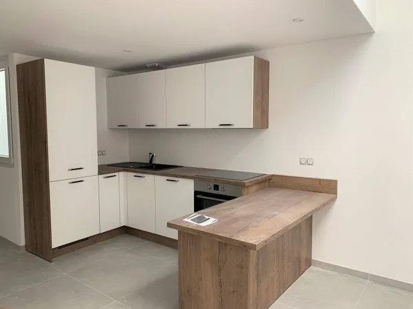 Appartement 1 pièce 41 m² 