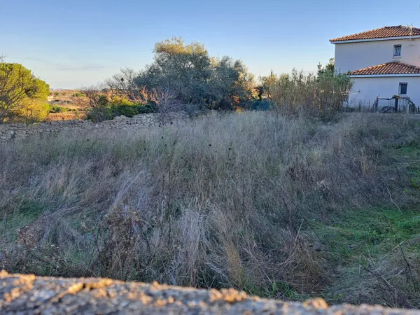 Terrain 1000 m² 