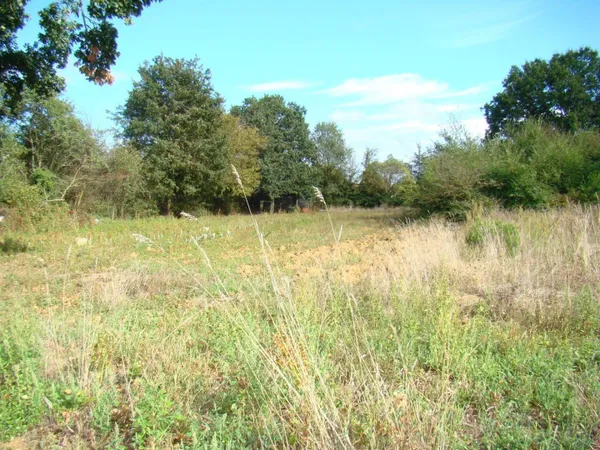 Propriété 