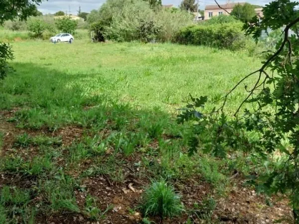 Terrain 1 055 m² Puget Sur Argens 