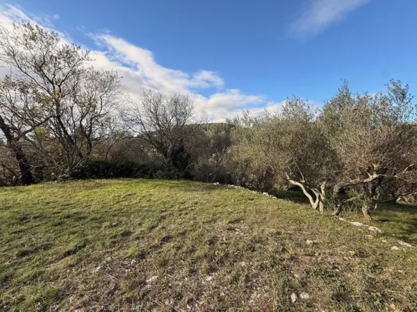 Terrain 1005 m² 