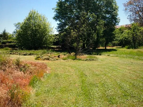 Terrain Constructible Plat et arboré Cordes sur ciel 