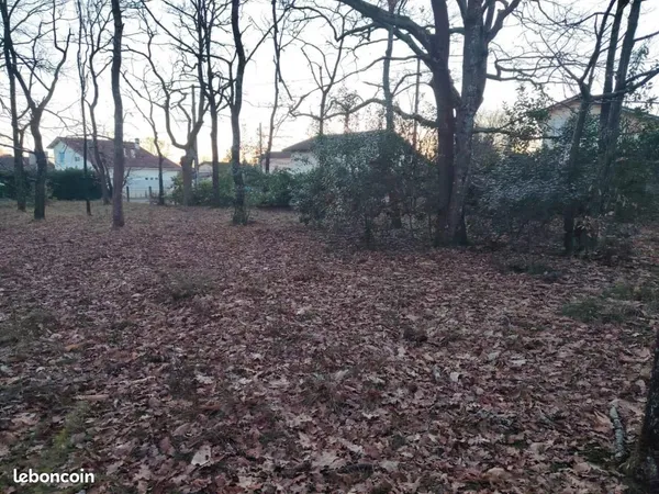 Terrain 556 m² Mont De Marsan 