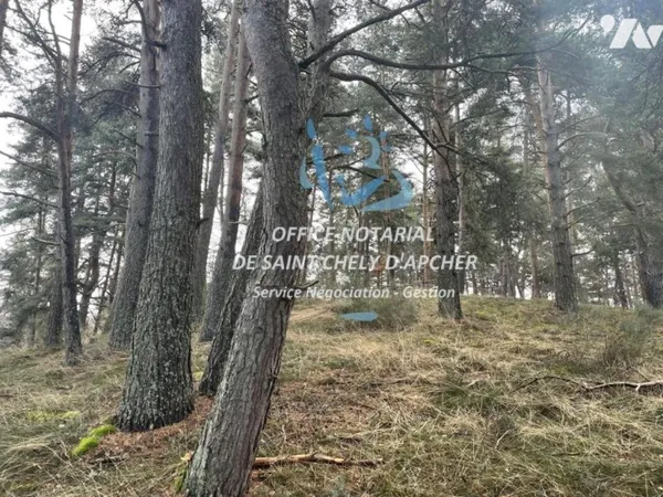 Terrain 10343 m²