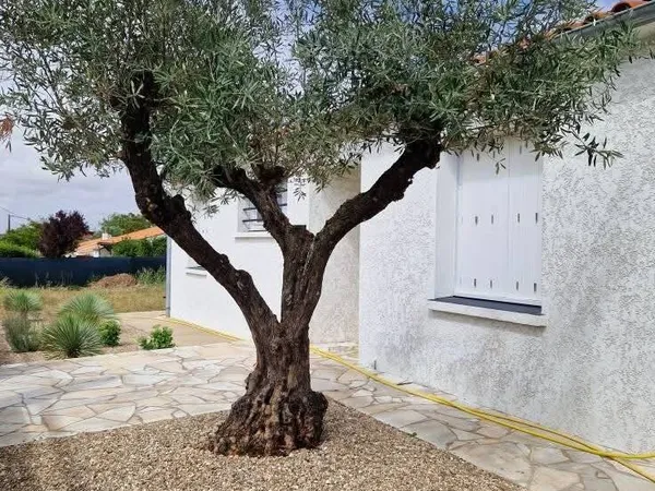 Maison 1 pièce 76 m² 