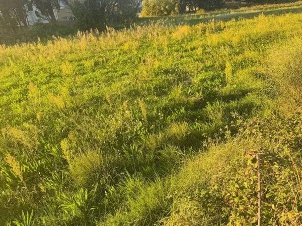 Terrain 320 m² 