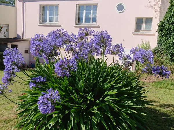 Vends maison 