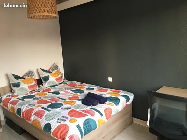 Chambre meublée dans appartement tout confort proche tram et facultés 