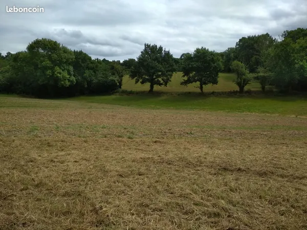 Terrain à bâtir viabilisé à Serres-Castet 