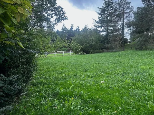 Terrain 1000 m² 