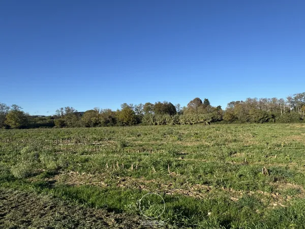 Terrain Hors lotissement idéalement situé 998 m2 - MONTBOUCH 