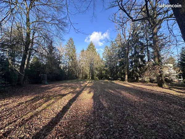 Terrain 6157 m² Lamorlaye 