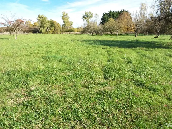 Terrain 1545 m² 