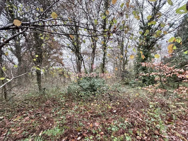 Terrain 2274 m² 