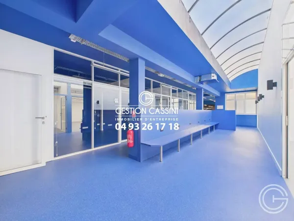 Local commercial 353 m² 