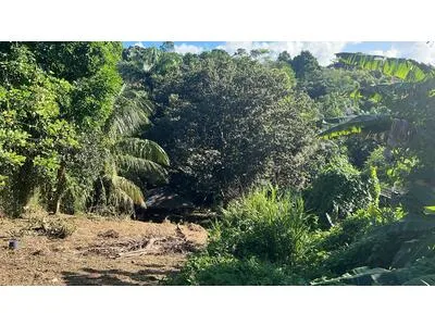 **RARE OPPORTUNITÉ À FONTARABIE Terrain de 2 000 m² à moins de 90 000 € !** 