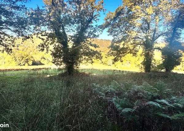 Terrain 60000 m² 