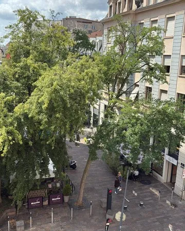 Mulhouse, centre vile, lumineux appartement 128m2 278000EUR 