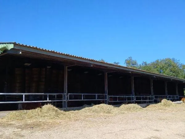 Maison 1 pièce 1800 m² 