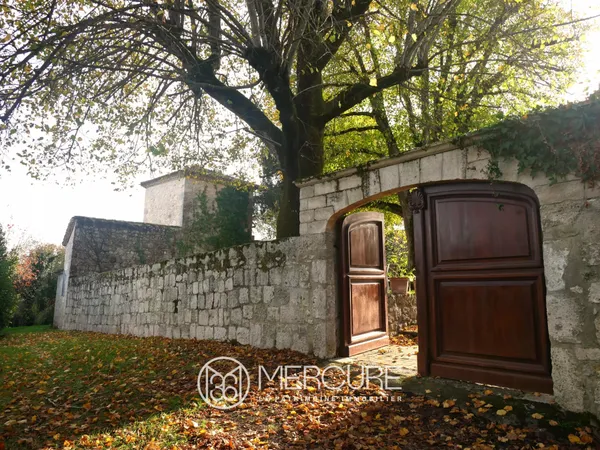 ENSEMBLE IMMOBILIER DE CHARME ENTIEREMENT RENOVE 