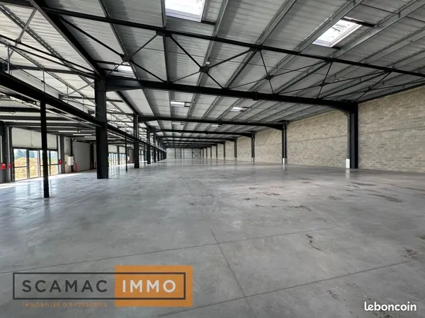 Local d'activité 1 287 m² 