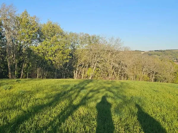 Vaste Terrain Constructible à Pessan 