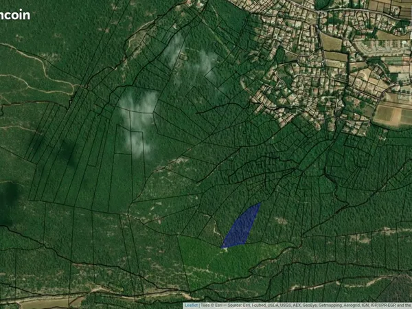 Terrain boisé 