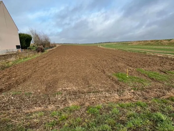Terrain 1870 m² BEVILLE LE COMTE 