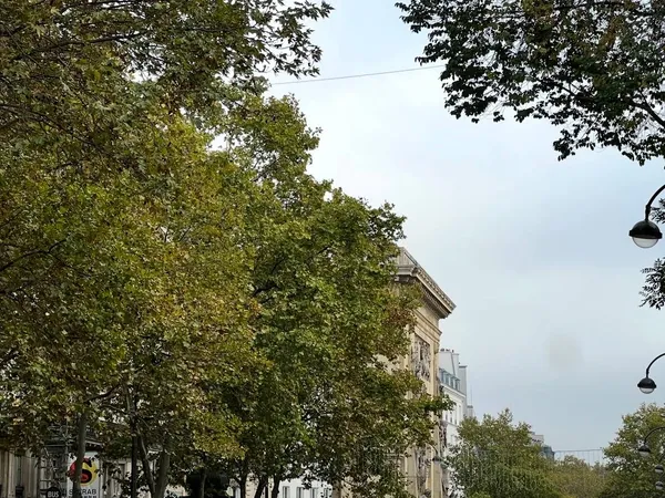 Vends appartement à rénover - 50m² 
