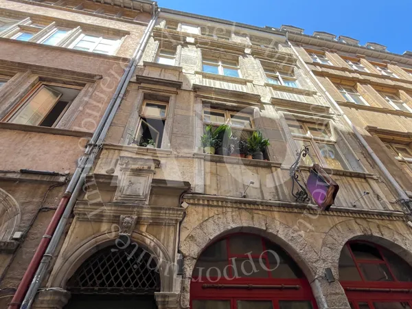 Ensemble immobilier à Lyon 5 : Murs commerciaux + Trois stud 
